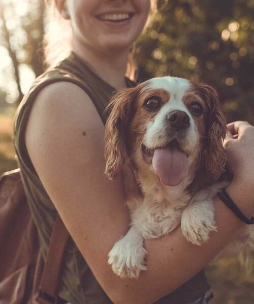wfcm_dog_faqs