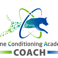 CCA_COACH
